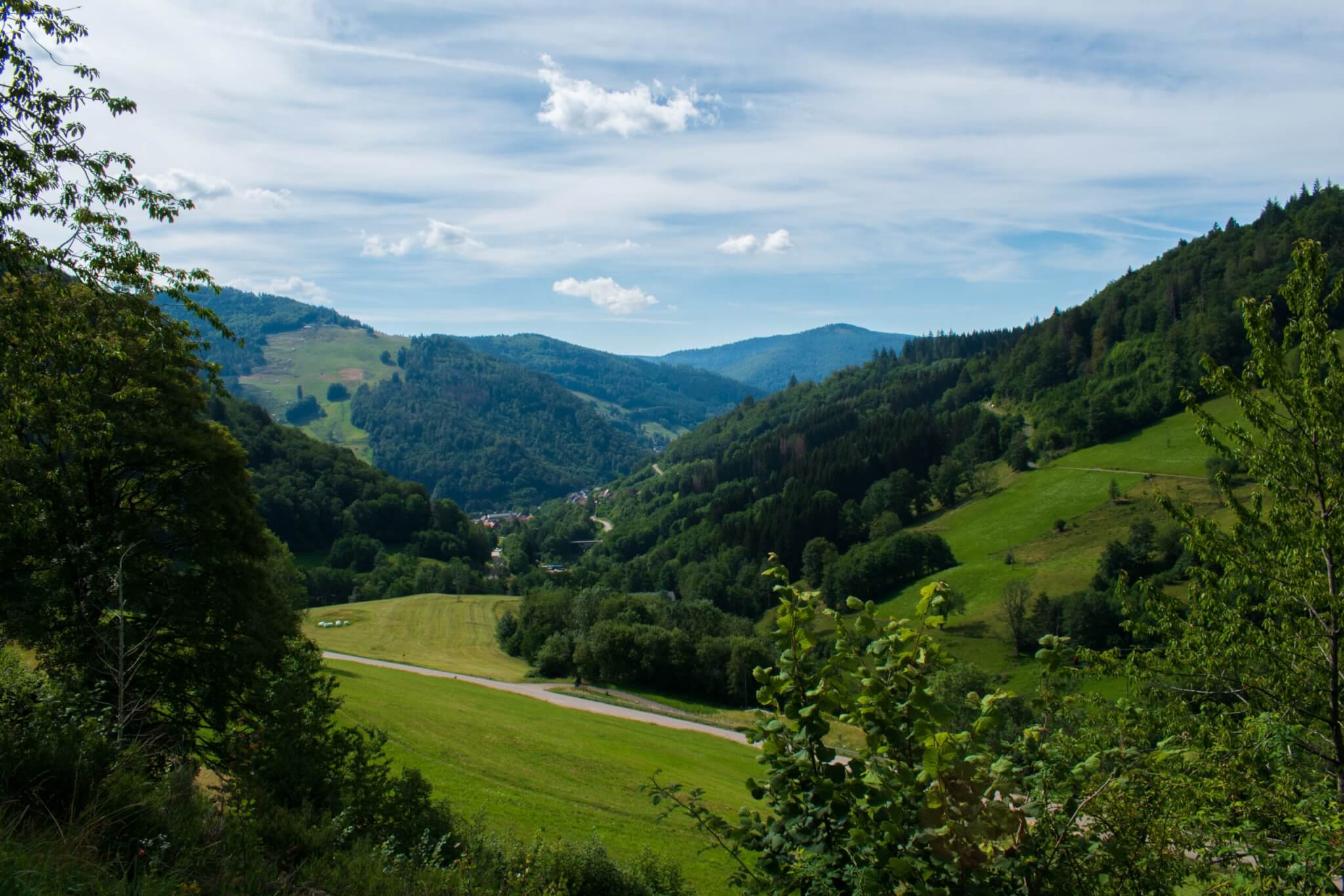 The Black Forest, Germany