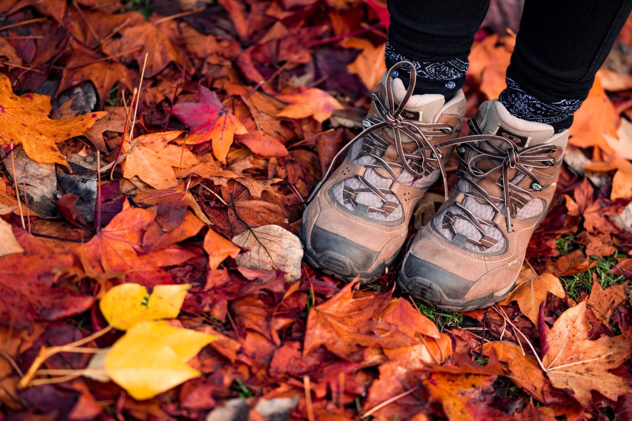 women's hiking boots and fall leaves