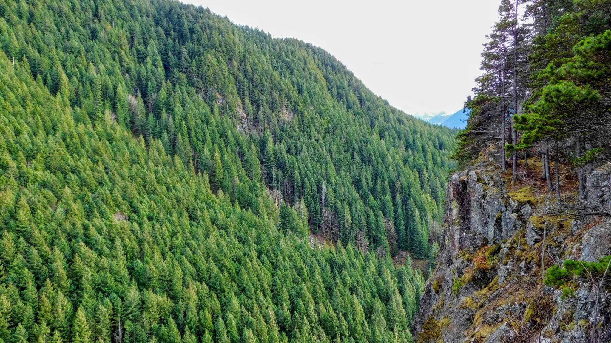 Views from Little Si Trail in Washington